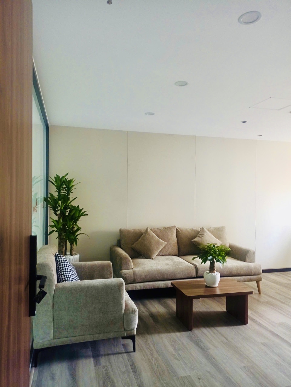 Cho thuê cây xanh văn phòng Công ty Ying Ying tại Phường Khánh Hội TP.HCM