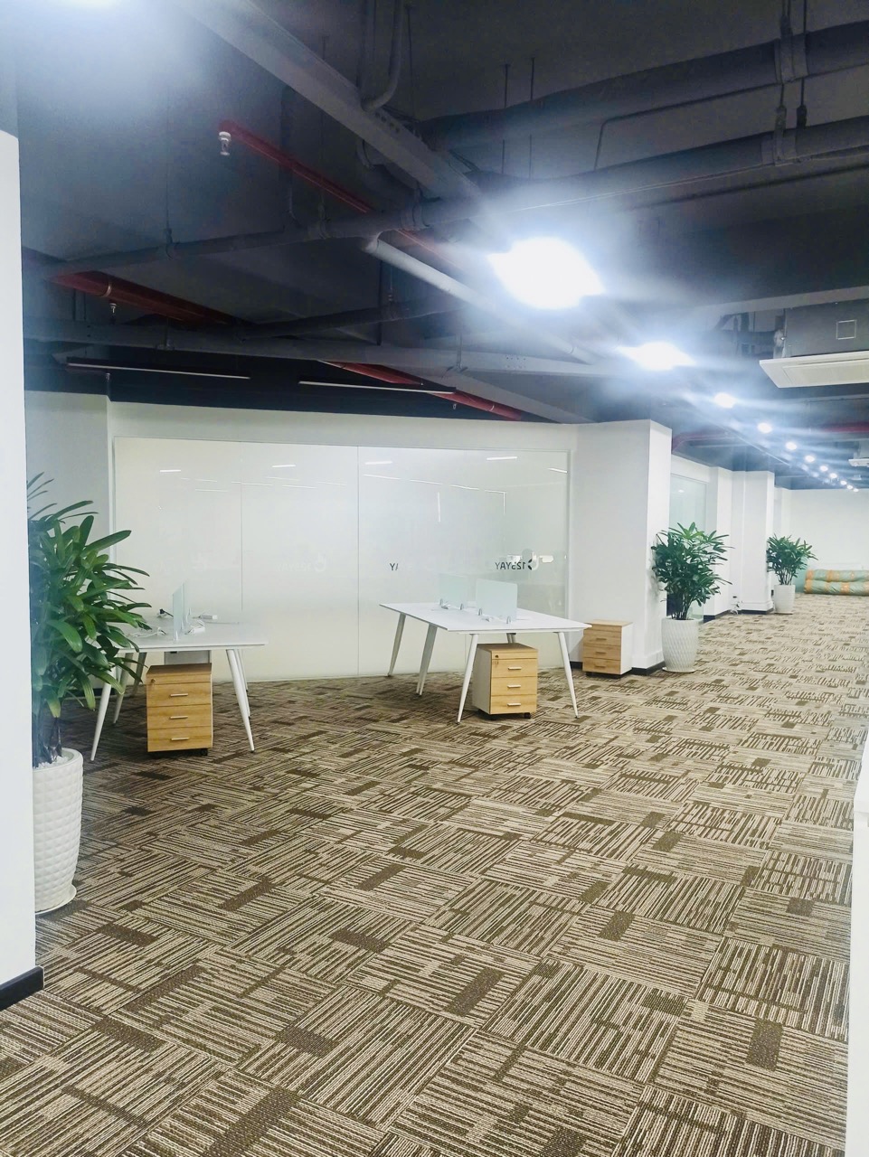 Cho thuê cây xanh văn phòng Công ty Ying Ying tại Phường Khánh Hội TP.HCM