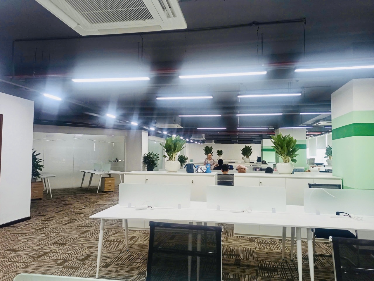 Cho thuê cây xanh văn phòng Công ty Ying Ying tại Phường Khánh Hội TP.HCM