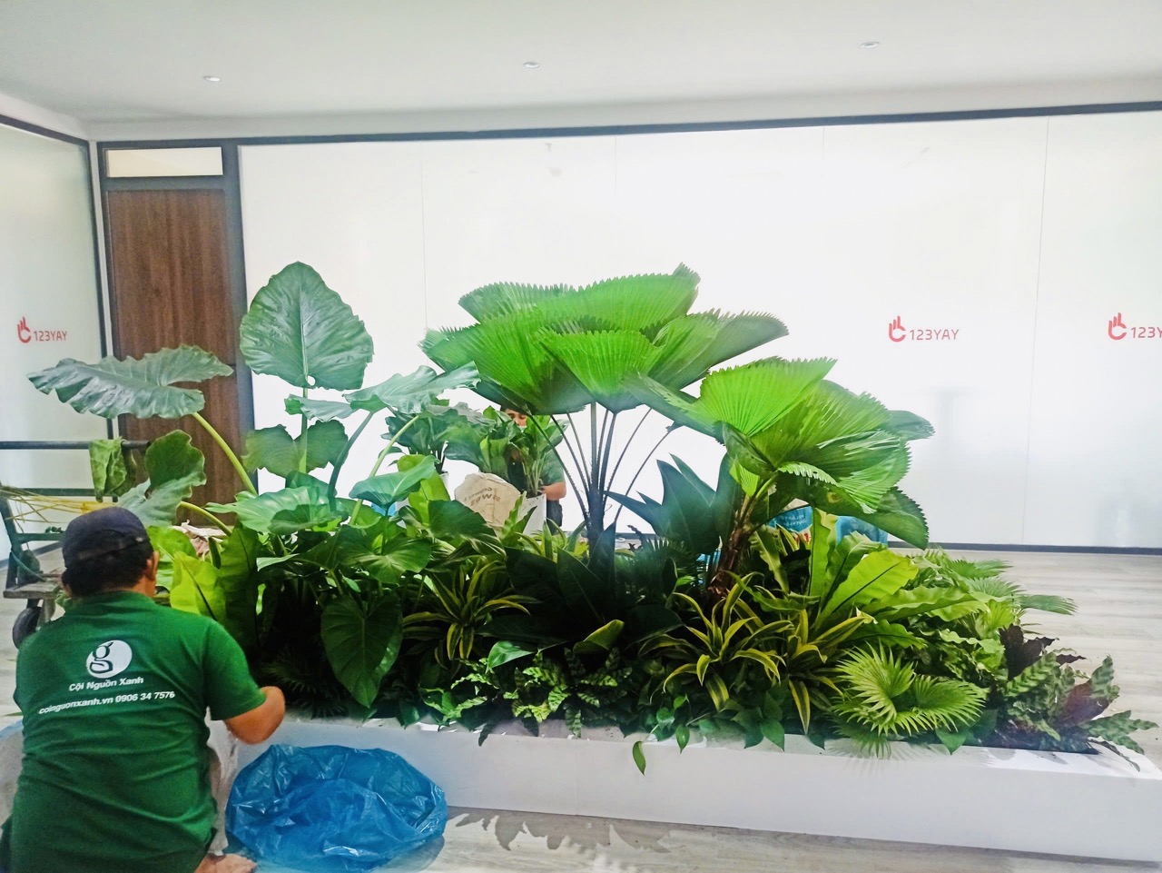 Cho thuê cây xanh văn phòng Công ty Ying Ying tại Phường Khánh Hội TP.HCM