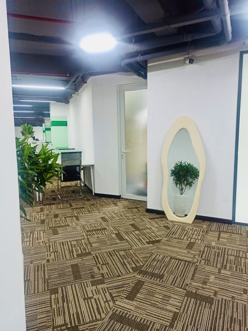 Cho thuê cây xanh văn phòng Công ty Ying Ying tại Phường Khánh Hội TP.HCM