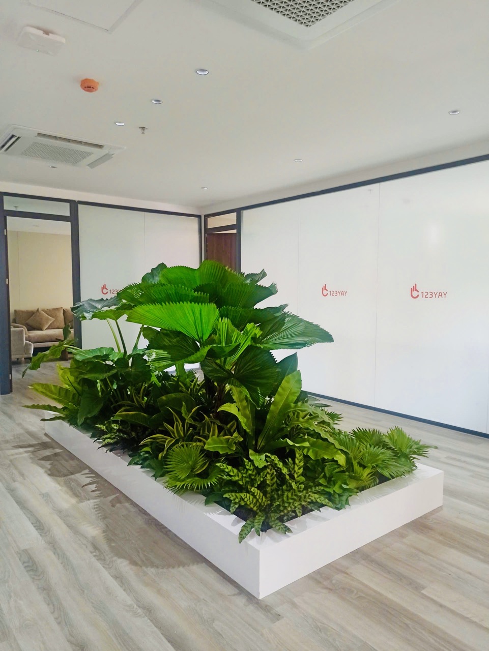 Cho thuê cây xanh văn phòng Công ty Ying Ying tại Phường Khánh Hội TP.HCM