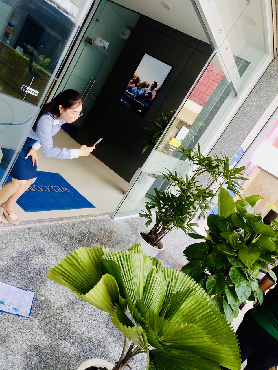 Cho Thuê Cây Xanh Văn Phòng Tại Ngân Hàng MB Phú Xuân Quận 7 – Nâng Tầm Không Gian Làm Việc Chuyên Nghiệp
