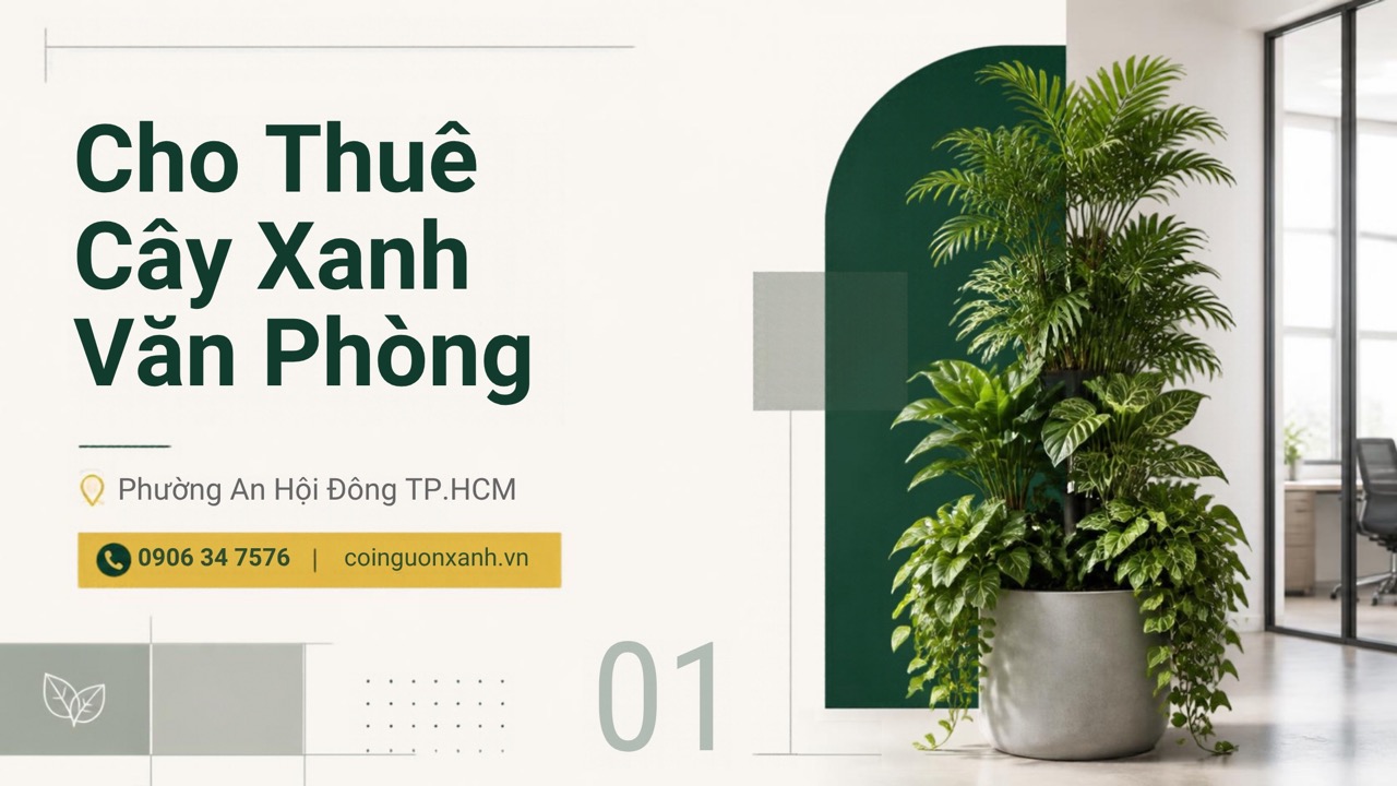 Cho Thuê Cây Xanh Văn Phòng Ở Phường An Hội Đông TP.HCM – Không Gian Xanh, Chuyên Nghiệp