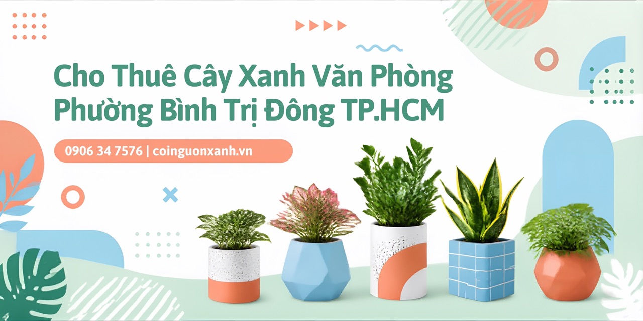 Cho Thuê Cây Xanh Văn Phòng Ở Phường Bình Trị Đông TP.HCM