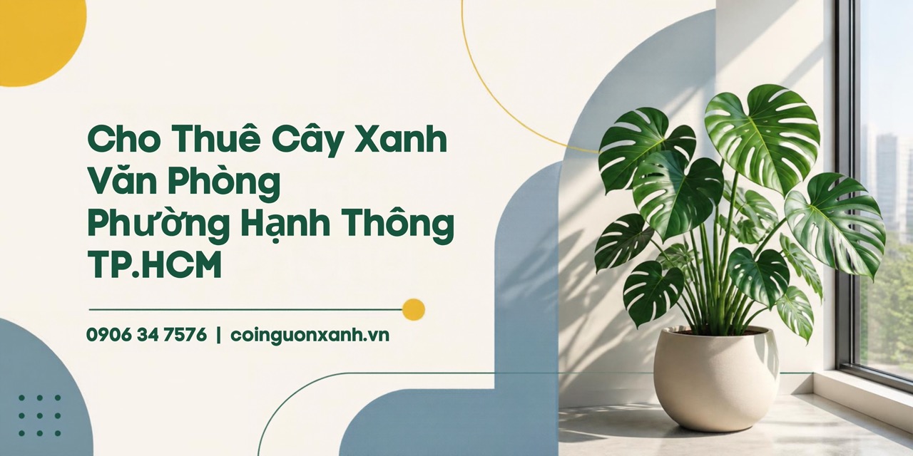 Cho Thuê Cây Xanh Văn Phòng Ở Phường Hạnh Thông TP.HCM