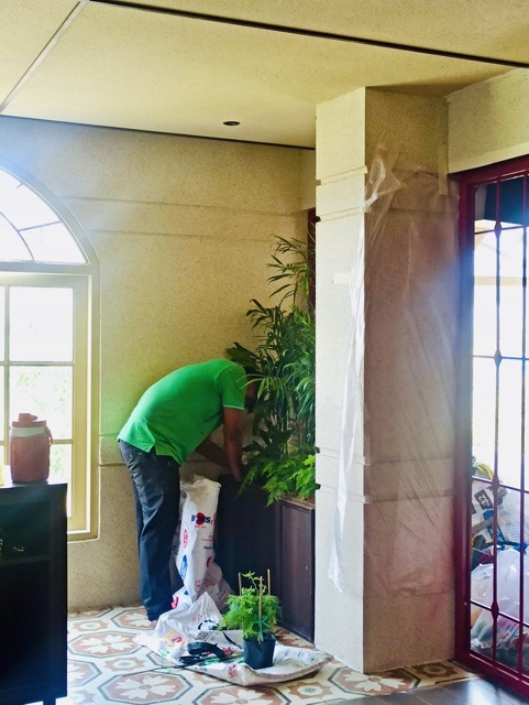 Cội Nguồn Xanh Thi Công Sân Vườn Nhà Hàng Son Tại Phường Sài Gòn TP.HCM