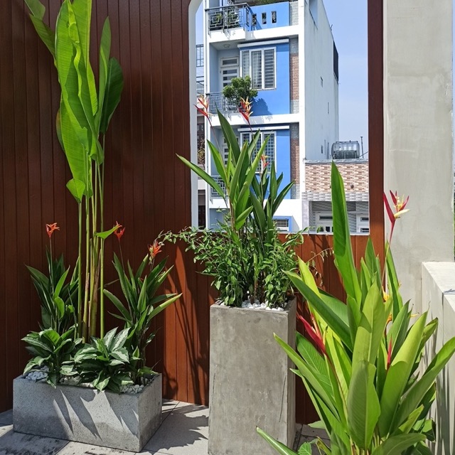 Thi công sân vườn nhà phố Quận 12 TP.HCM