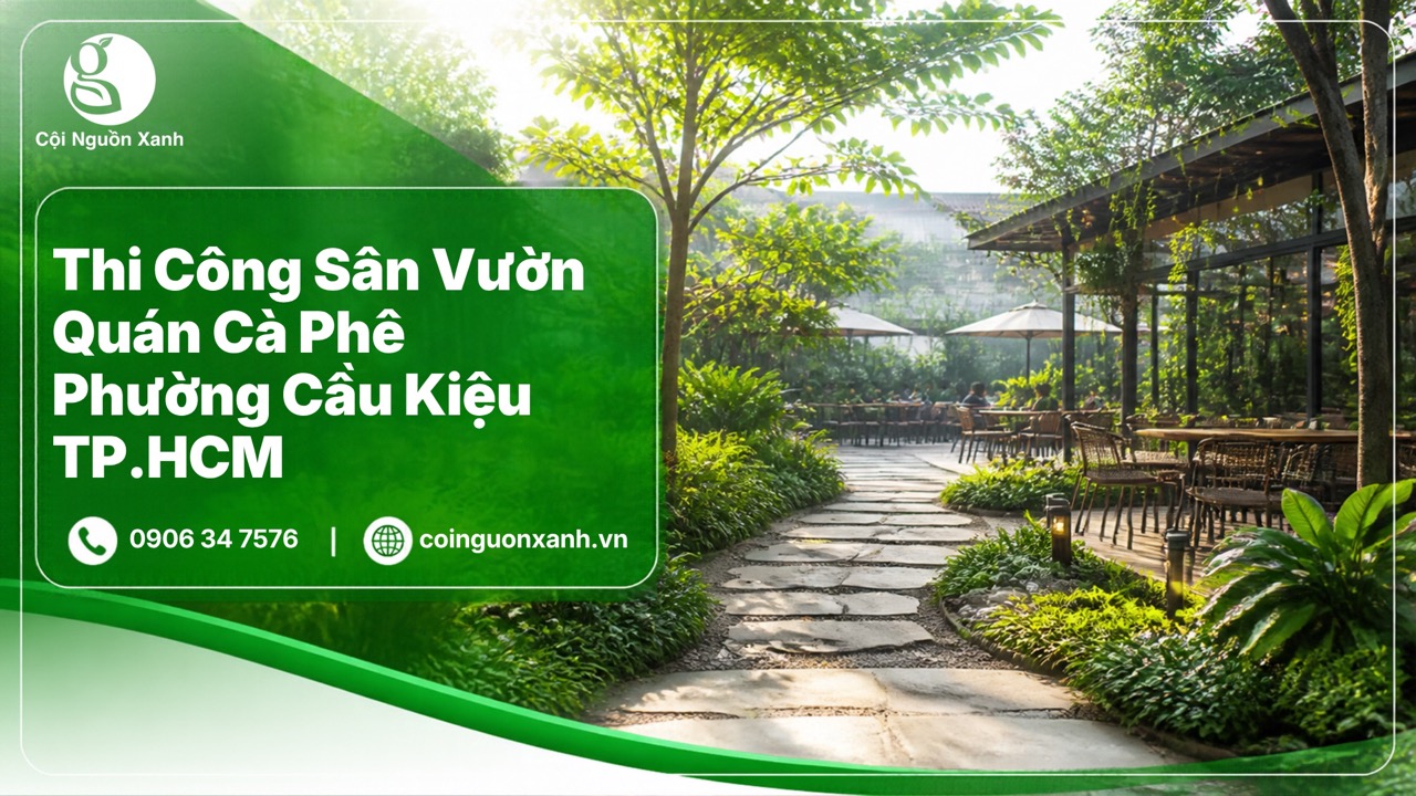 Thi Công Sân Vườn Quán Cà Phê Ở Phường Cầu Kiệu TP.HCM – Cội Nguồn Xanh