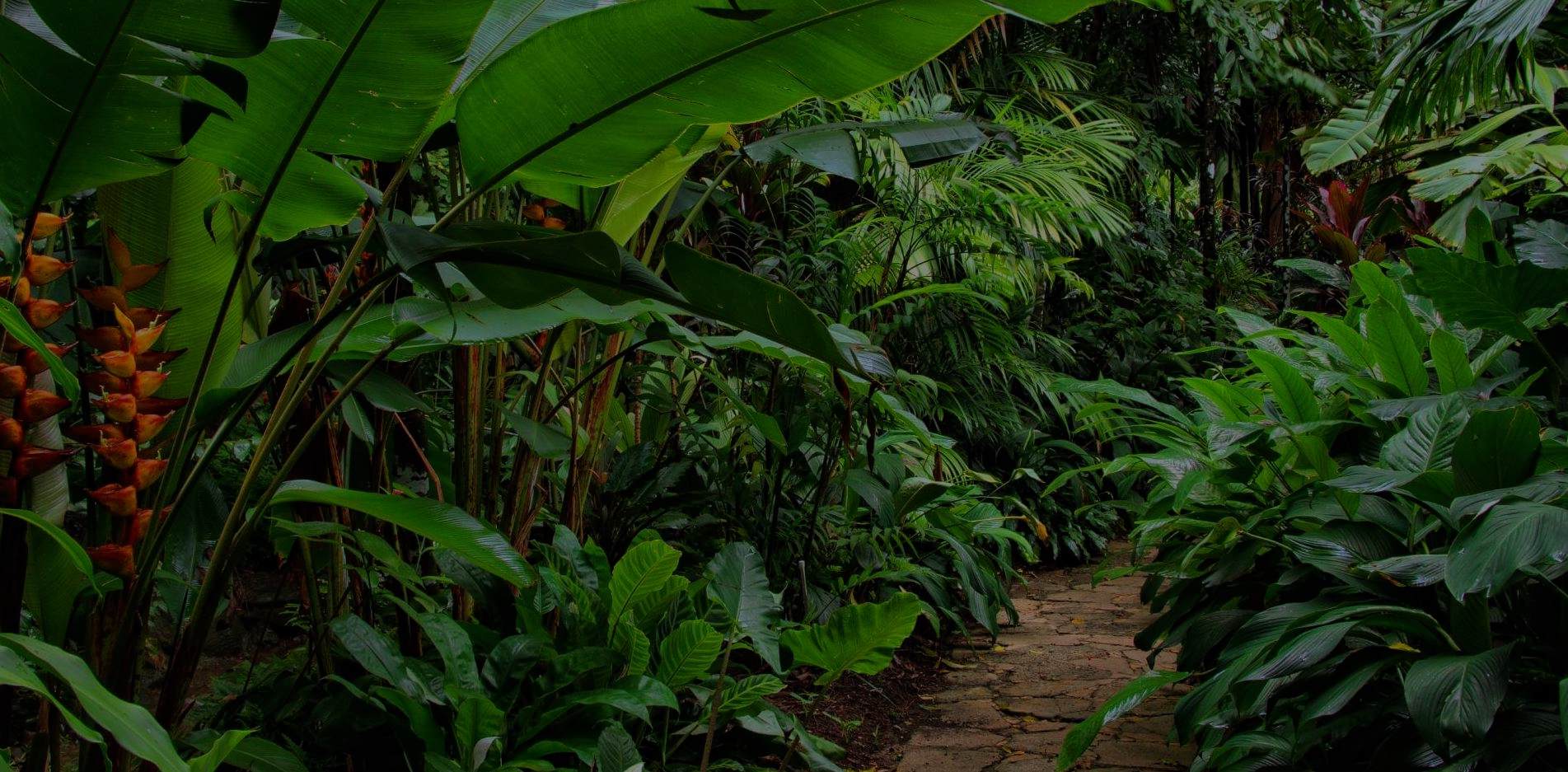 Thi công tiểu cảnh sân vườn