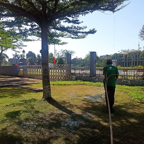 Dịch Vụ Chăm Sóc Cây Xanh Công Ty