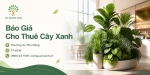Báo Giá Cho Thuê Cây Xanh Ở Phường An Phú Đông TP.HCM