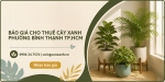 Báo Giá Cho Thuê Cây Xanh Ở Phường Bình Thạnh TP.HCM