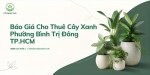 Báo Giá Cho Thuê Cây Xanh Ở Phường Bình Trị Đông TP.HCM