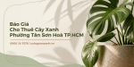 Báo Giá Cho Thuê Cây Xanh Ở Phường Tân Sơn Hòa TP.HCM Mới Nhất