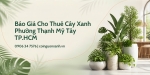 Báo Giá Cho Thuê Cây Xanh Ở Phường Thạnh Mỹ Tây TP.HCM