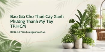 Báo Giá Cho Thuê Cây Xanh Ở Phường Thạnh Mỹ Tây TP.HCM