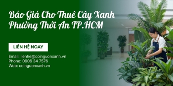 Báo Giá Cho Thuê Cây Xanh Ở Phường Thới An TP.HCM Mới Nhất