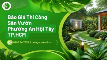 Báo Giá Thi Công Sân Vườn Ở Phường An Hội Tây TP.HCM Chi Tiết