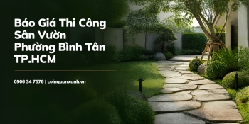 Báo Giá Thi Công Sân Vườn Ở Phường Bình Tân TP.HCM
