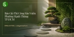 Báo Giá Thi Công Sân Vườn Ở Phường Hạnh Thông TP.HCM Chi Tiết