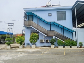 Thuê Cây Xanh Cho Khu Công Nghiệp – Cải Thiện Môi Trường Làm Việc