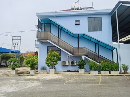 Thuê Cây Xanh Cho Khu Công Nghiệp – Cải Thiện Môi Trường Làm Việc