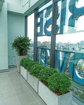 Dịch Vụ Cho Thuê Cây Xanh Ban Công Chung Cư – Giải Pháp Xanh Trong Thành Phố