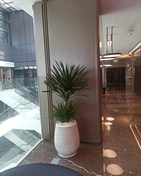 Tổng Hợp Các Loại Chậu Cao Cấp Dành Cho Dịch Vụ Cho Thuê Cây Xanh