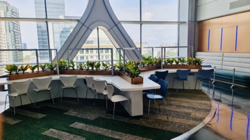 Lãnh Đạo Doanh Nghiệp Đang Đánh Giá Sai Vai Trò Của Cây Xanh Văn Phòng?