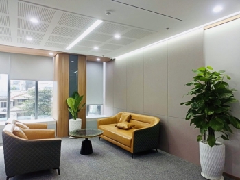 Cây Xanh Thuê Có Giảm Stress Thật Không? Khám Phá Ngay