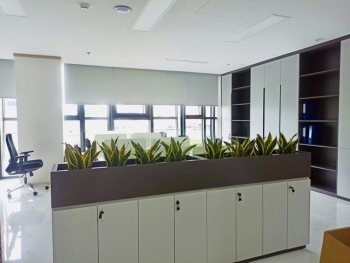 So Sánh Gói Cho Thuê Cây Xanh Cơ Bản Và Cao Cấp