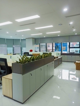 Thuê Cây Xanh Văn Phòng Giúp Thanh Lọc Không Khí Đến Mức Nào?