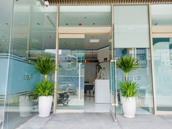 Nhận Báo Giá Cho Thuê Cây Xanh Phù Hợp Ngân Sách Doanh Nghiệp