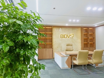 Thuê Cây Xanh Hợp Mệnh Thủy – Thuận Lợi Trong Kinh Doanh