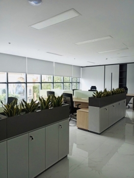 Văn Phòng Trở Nên Khác Biệt Thế Nào Sau Khi Thuê Cây Xanh?