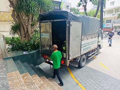 Cho Thuê Cây Xanh Phong Thủy Mang Lại Tài Vận Cho Công Ty Startup