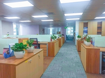 Cách Sắp Xếp Cây Xanh Thuê Để Văn Phòng Nhìn Gọn Gàng Và Chuyên Nghiệp