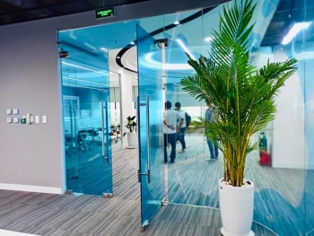 Giải Pháp Cho Thuê Cây Xanh Trọn Gói | Cội Nguồn Xanh TP.HCM