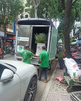 Dịch Vụ Cho Thuê Cây Xanh Cho Sự Kiện – Không Gian Xanh Cho Mọi Dịp