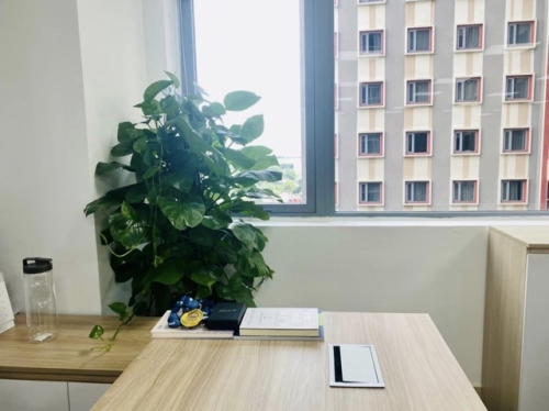 Thuê Cây Xanh – Một Phần Của Chiến Lược Quản Trị Nhân Sự Hiện Đại