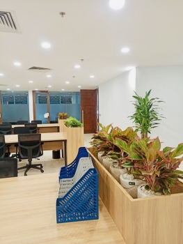 Thuê Cây Xanh tại Tân Phú 2026 – Giải Pháp Xanh Cho Doanh Nghiệp Vừa Và Nhỏ