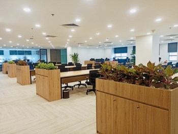 Cách Tính Chi Phí Thuê Cây Xanh Văn Phòng Chuẩn 2025