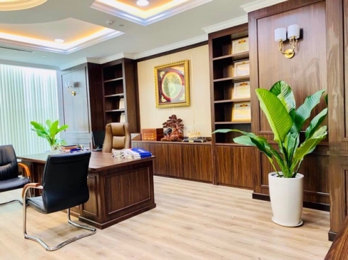 Thuê Cây Xanh – Lựa Chọn Thông Minh Cho Văn Phòng Hiện Đại