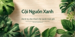 Cho thuê cây xanh