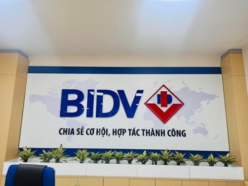 Thuê Cây Xanh Trang Trí Giúp Doanh Nghiệp Tăng Hình Ảnh Chuyên Nghiệp