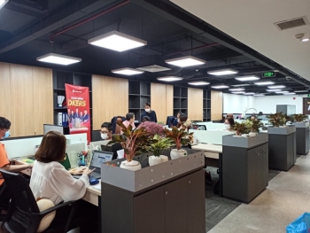 Thuê Cây Xanh Mang Đến Không Gian Làm Việc Thư Giãn Ra Sao?