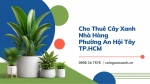 Cho Thuê Cây Xanh Nhà Hàng Ở Phường An Hội Tây TP.HCM – Không Gian Xanh, Sang Trọng