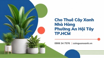 Cho Thuê Cây Xanh Nhà Hàng Ở Phường An Hội Tây TP.HCM – Không Gian Xanh, Sang Trọng