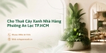 Cho thuê cây xanh nhà hàng ở Phường An Lạc TP.HCM – Đẹp, chuyên nghiệp